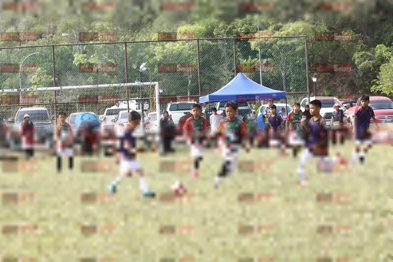 Photo ID 8566224