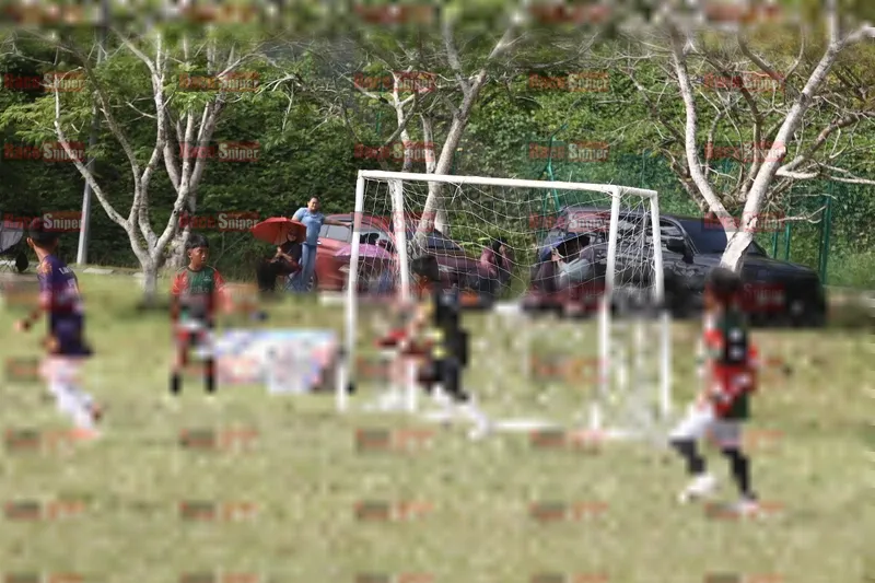 Photo ID 8566256