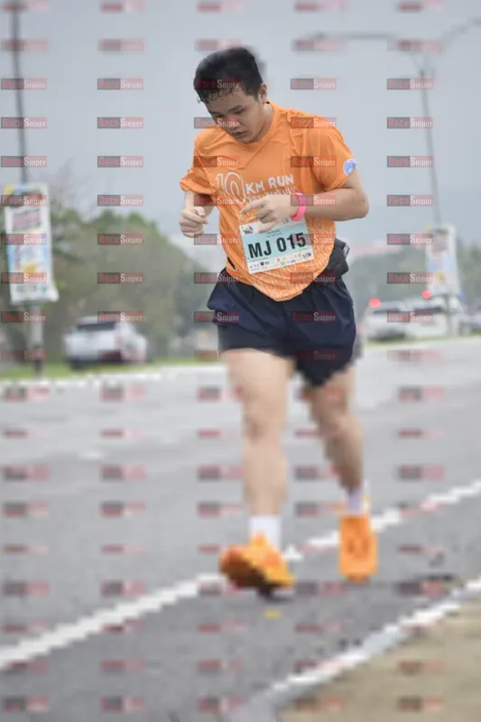 Photo ID 8568388