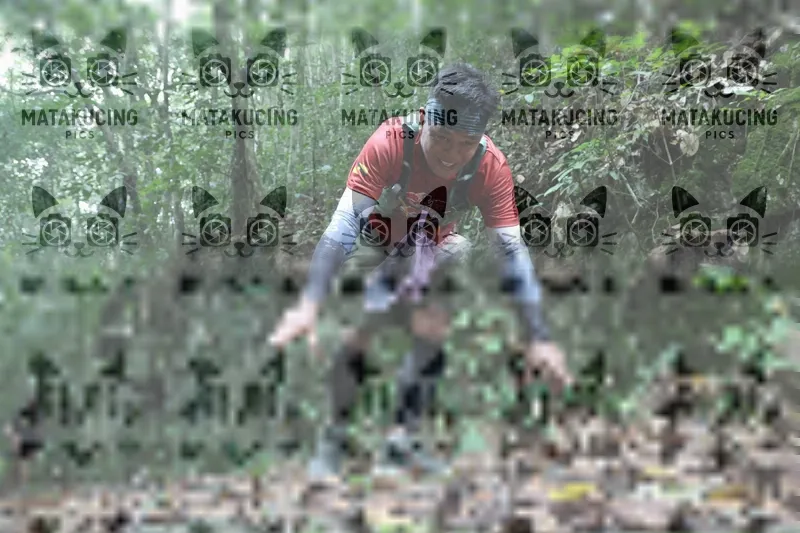 Photo ID 8569369