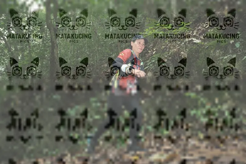 Photo ID 8569556