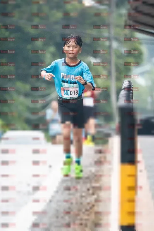 Photo ID 8573956
