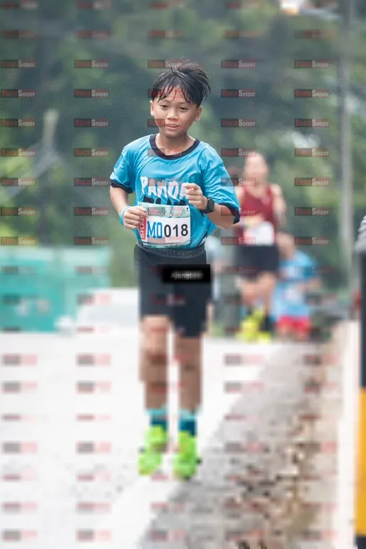 Photo ID 8573985