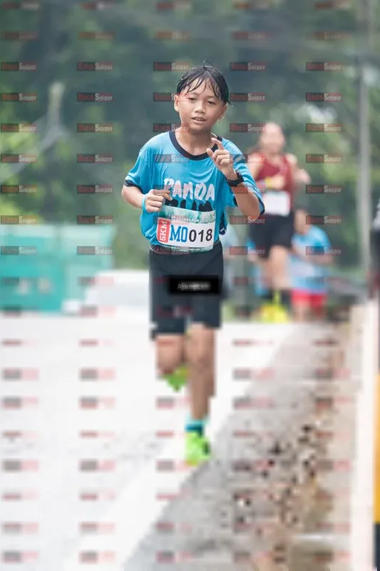 Photo ID 8573987