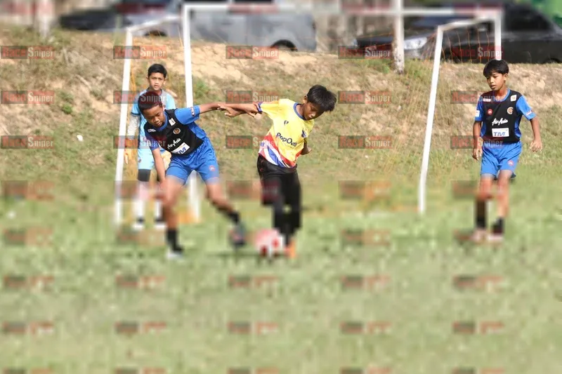 Photo ID 8598881