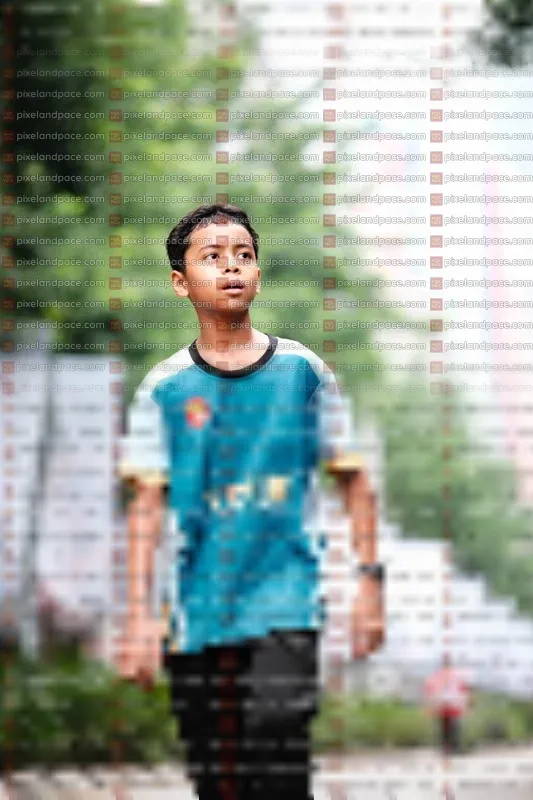 Photo ID 8612244