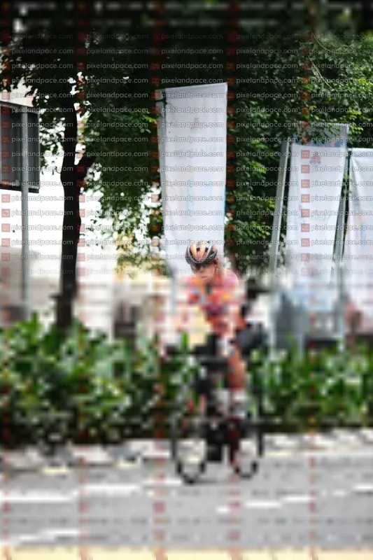 Photo ID 8613550