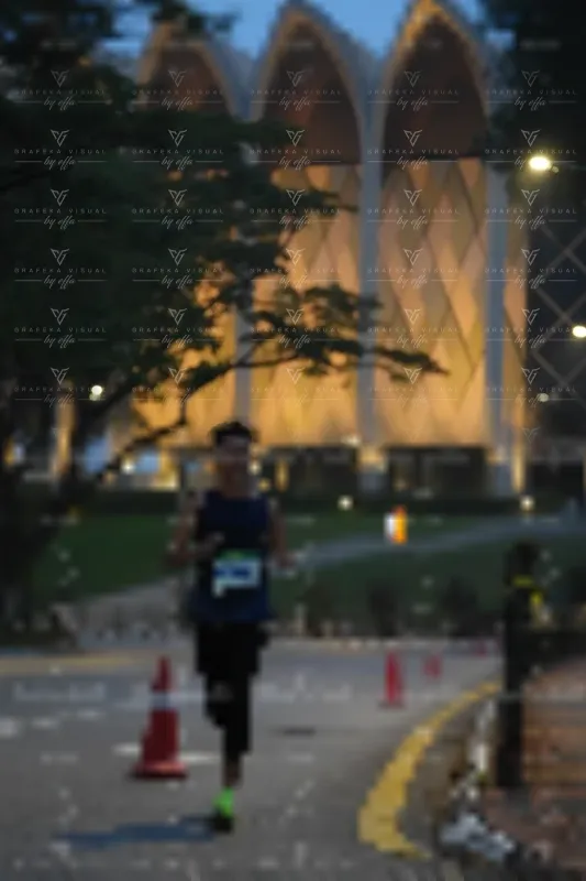 Photo ID 8638882