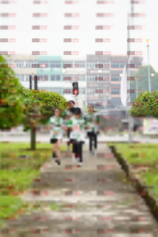 Photo ID 8642195