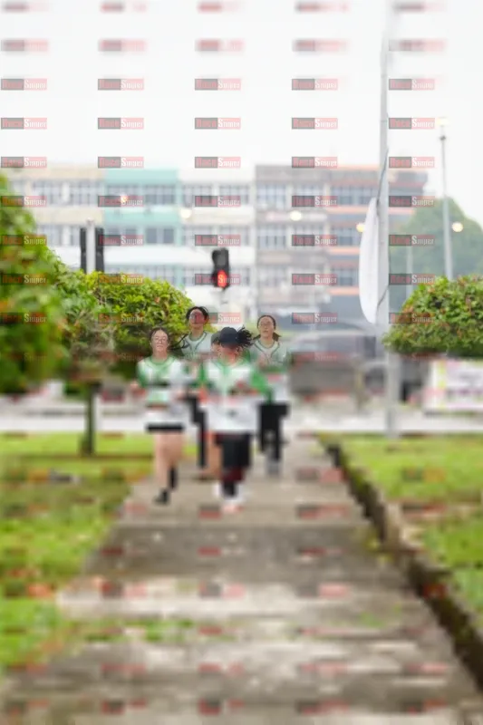 Photo ID 8642202