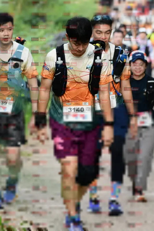 Photo ID 8665338