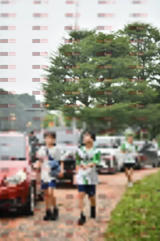 Photo ID 8665511