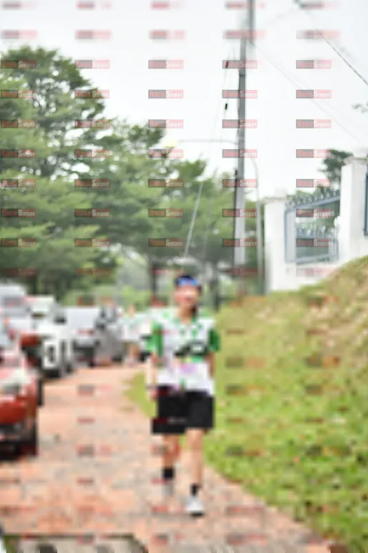 Photo ID 8666096