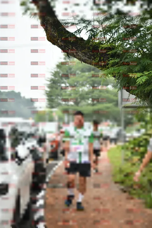Photo ID 8667036