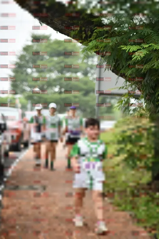 Photo ID 8667093
