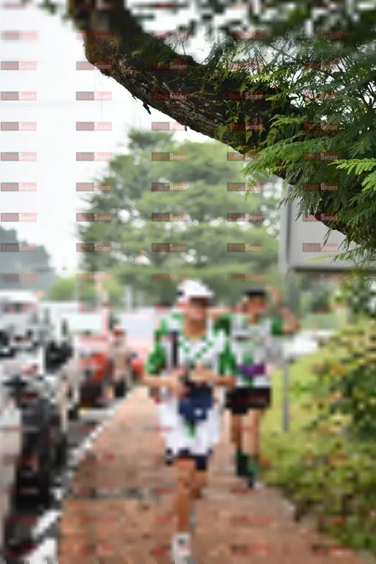 Photo ID 8667101