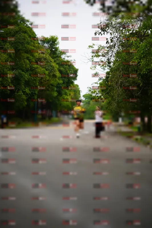 Photo ID 8705965