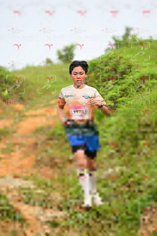 Photo ID 8727356