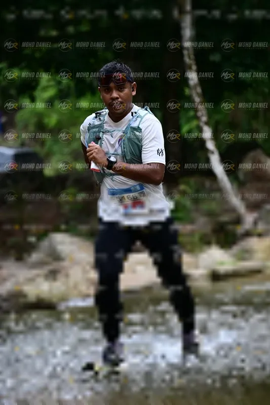 Photo ID 8745848