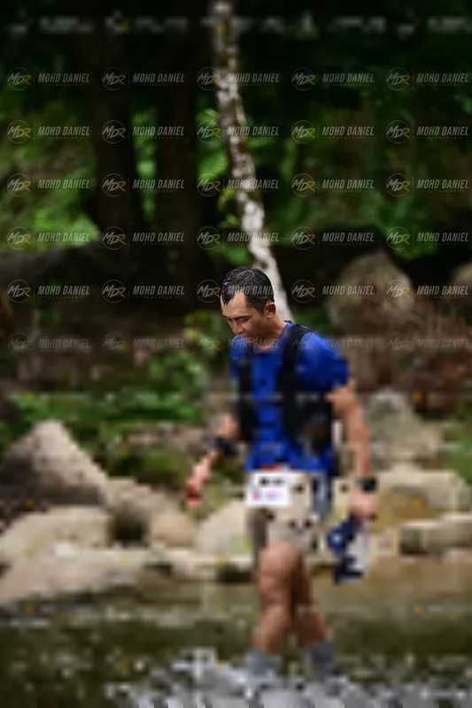 Photo ID 8745935