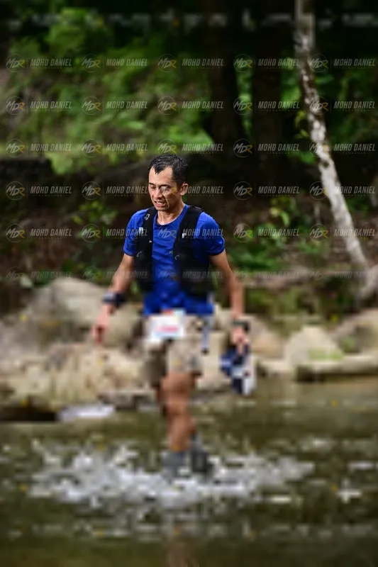 Photo ID 8745939