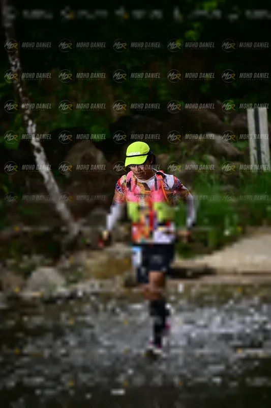 Photo ID 8746264