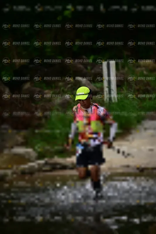 Photo ID 8746266