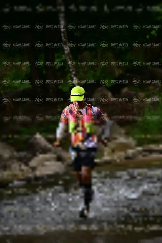 Photo ID 8746276