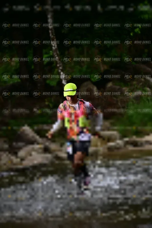 Photo ID 8746279