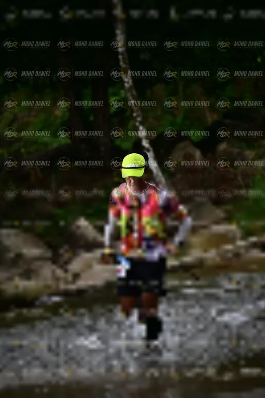 Photo ID 8746280