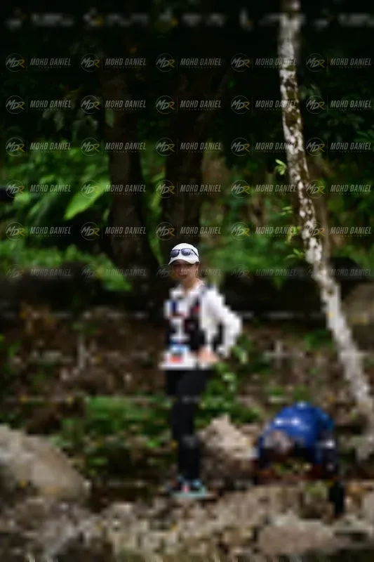 Photo ID 8746318