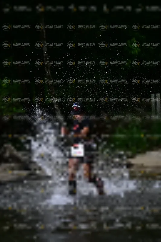 Photo ID 8746939