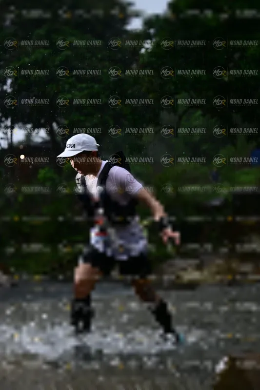 Photo ID 8747175