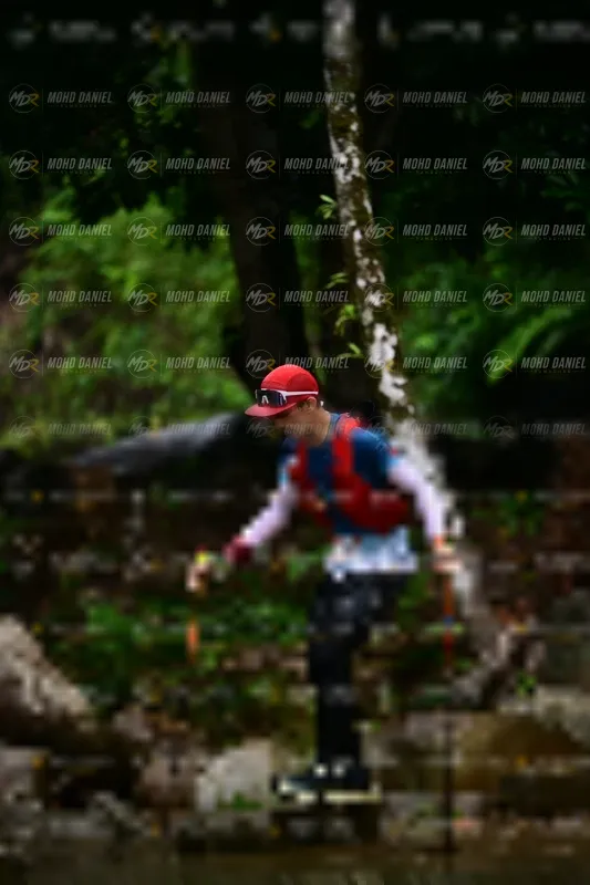 Photo ID 8747209