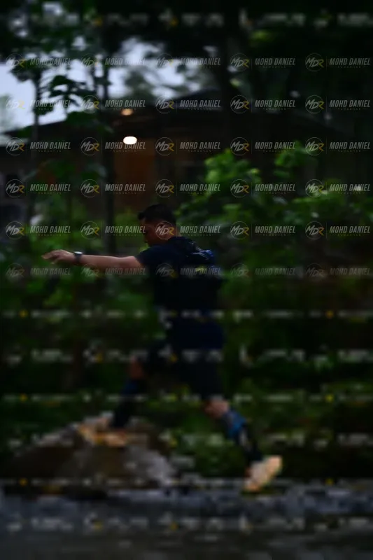 Photo ID 8747356