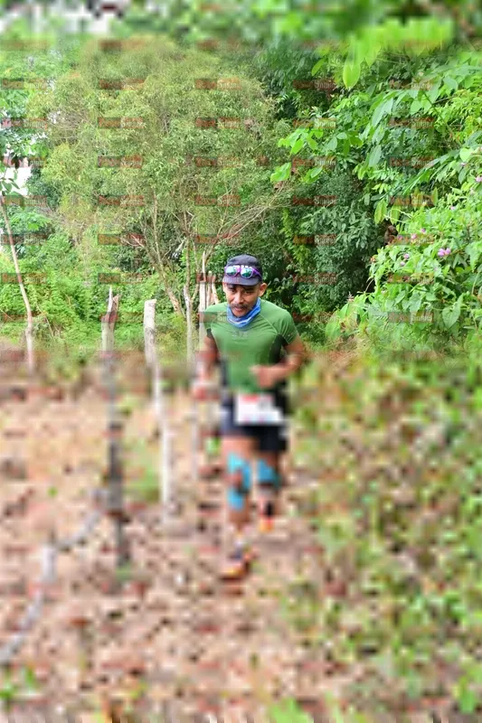 Photo ID 8757937