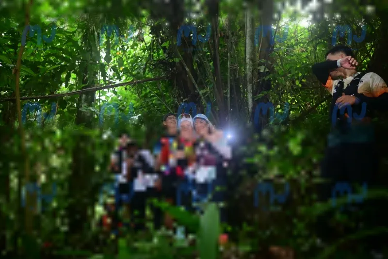 Photo ID 8765350