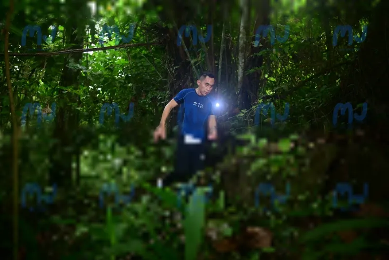Photo ID 8765653
