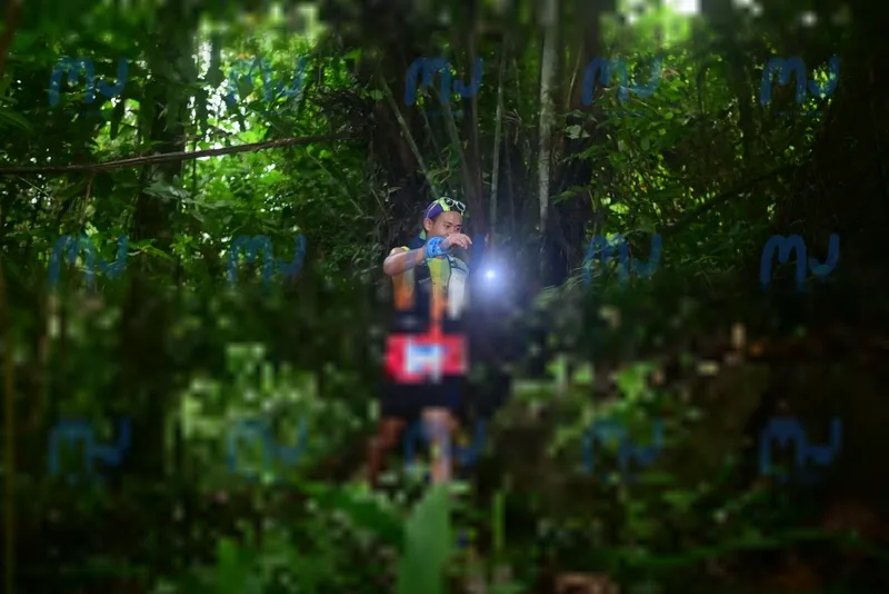 Photo ID 8765691