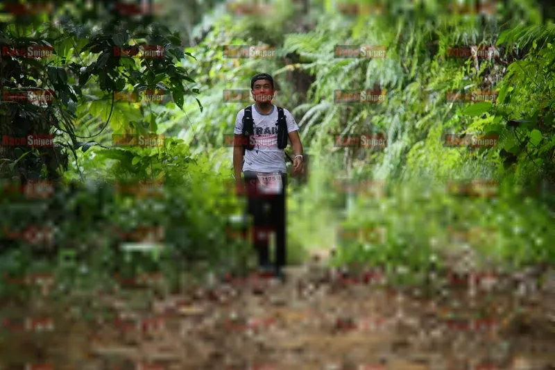 Photo ID 8766566