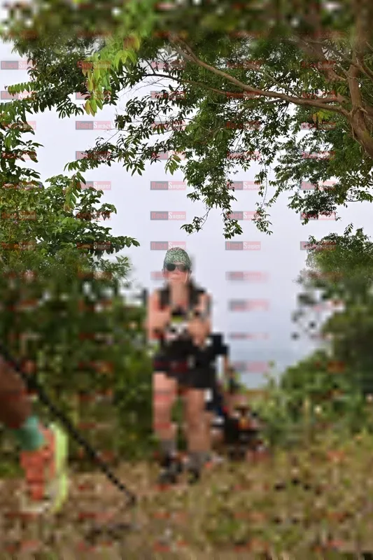 Photo ID 8766650