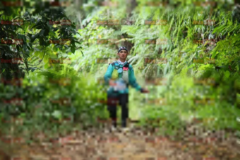Photo ID 8766750