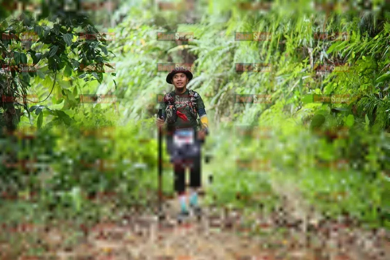 Photo ID 8766787