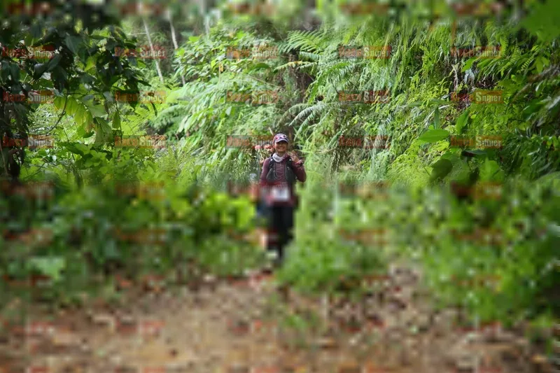 Photo ID 8766899