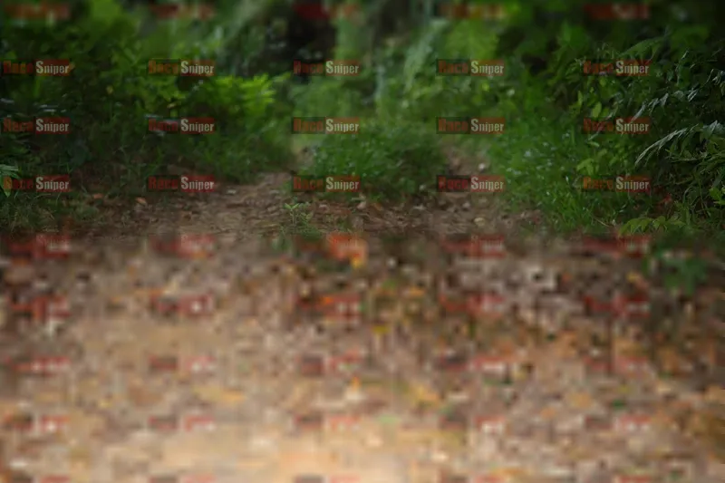 Photo ID 8766980