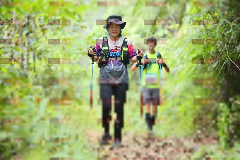 Photo ID 8767378