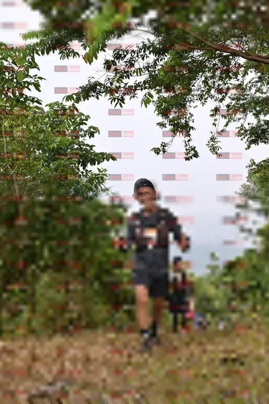 Photo ID 8767869