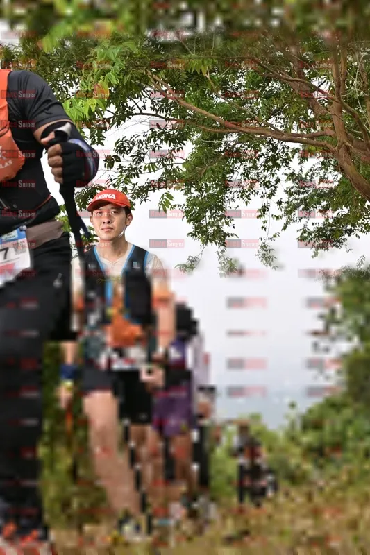 Photo ID 8767888