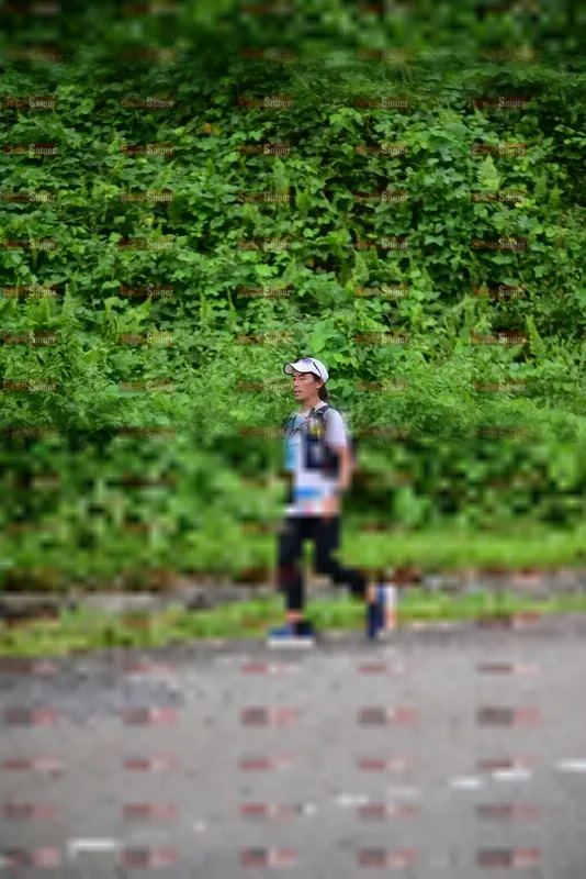Photo ID 8769300
