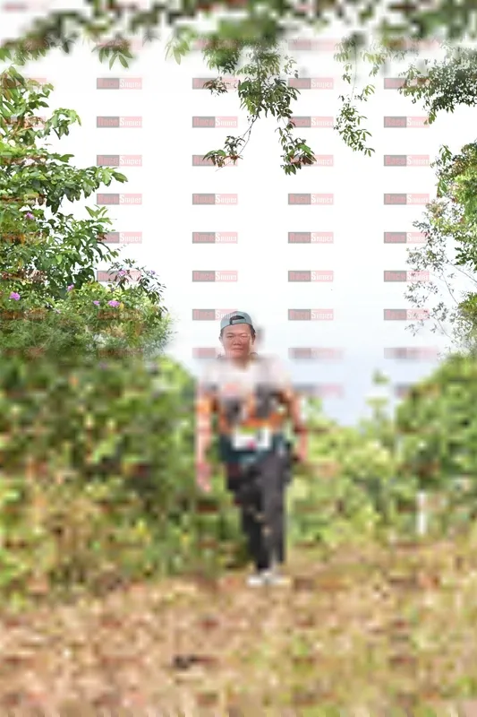 Photo ID 8771272